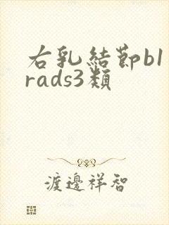 右乳结节b1一rads3类