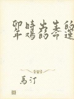 卯时出生的81年鸡的命运