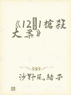 《12·1枪杀大案》