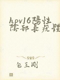 hpv16阳性阴部长疣体