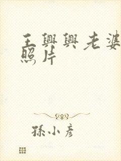 王兴兴老婆张静照片