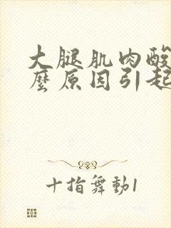 大腿肌肉酸痛什么原因引起的