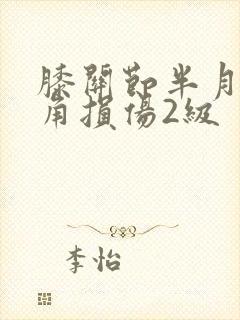 膝关节半月板后角损伤2级封面