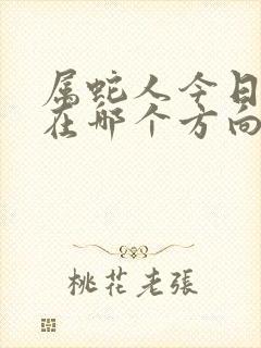 属蛇人今日财运在哪个方向封面