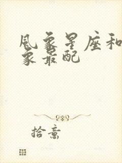 风象星座和哪个象最配