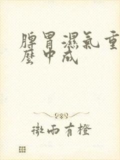 脾胃湿气重吃什么中成封面