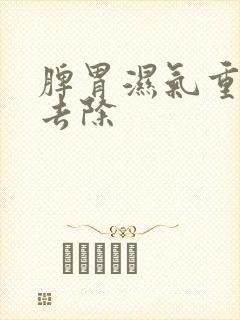 脾胃湿气重怎么去除