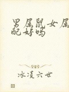 男属鼠女属龙婚配好吗