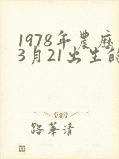 1978年农历3月21出生的命运