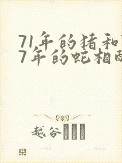 71年的猪和77年的蛇相配吗