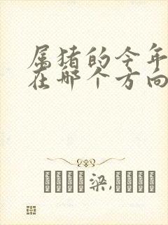 属猪的今年财运在哪个方向