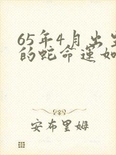 65年4月出生的蛇命运如何