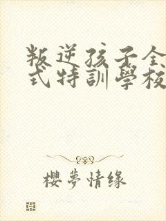 叛逆孩子全封闭式特训学校封面