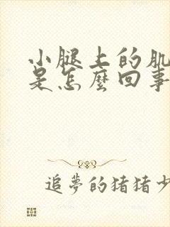 小腿上的肌肉疼是怎么回事封面