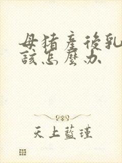 母猪产后乳不通该怎么办