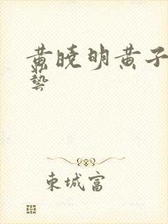 黄晓明黄子韬综艺封面