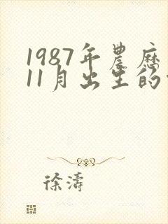 1987年农历11月出生的命运封面