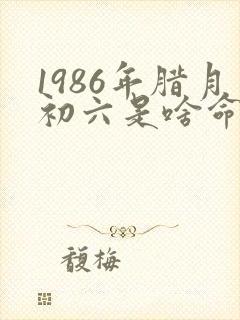 1986年腊月初六是啥命封面