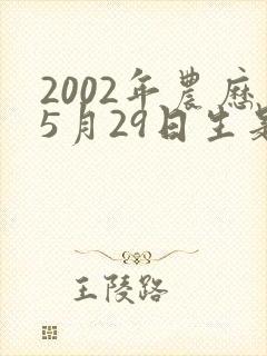 2002年农历5月29日生是什么命