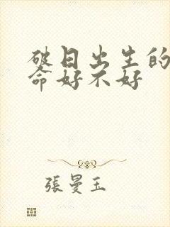 破日出生的男孩命好不好封面