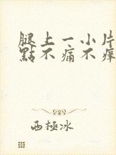 腿上一小片红点点不痛不痒