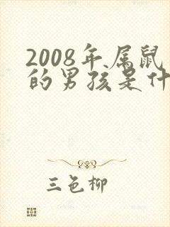 2008年属鼠的男孩是什么命