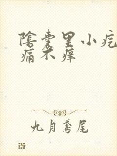 阴囊里小疙瘩不痛不痒