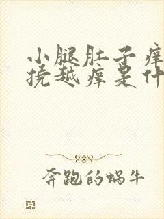 小腿肚子痒痒越挠越痒是什么原因封面