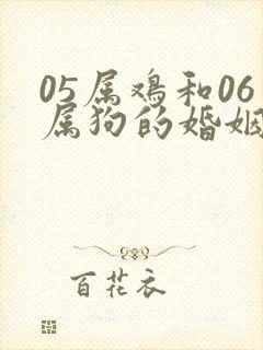 05属鸡和06属狗的婚姻相配吗