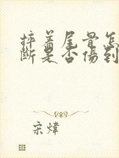 摔着尾骨怎么判断是否伤到骨头