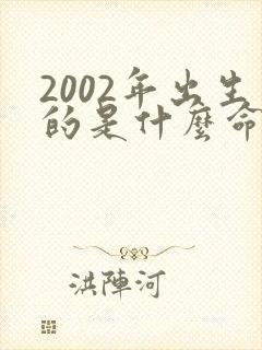 2002年出生的是什么命