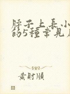 脖子上长小肉粒的5种常见原因封面