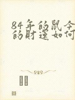 84年的鼠今年的财运如何呢