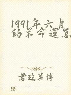 1991年六月的羊命运怎么样