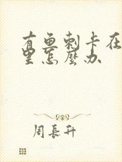 有鱼刺卡在喉咙里怎么办