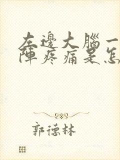 左边大脑一阵一阵疼痛是怎么回事封面