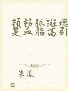 颈动脉斑块是不是血脂高引起的