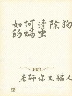 如何清除狗身上的螨虫