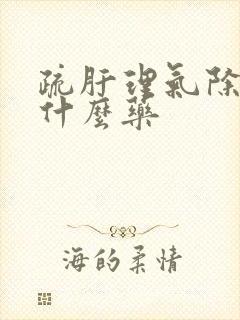 疏肝理气除湿吃什么药