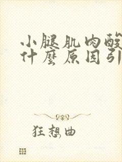 小腿肌肉酸痛是什么原因引起的