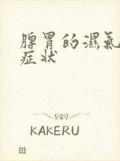 脾胃的湿气重的症状