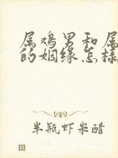 属鸡男和属马女的姻缘怎样