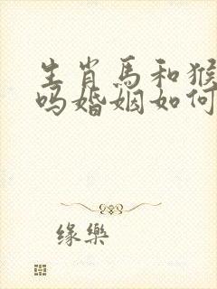 生肖马和猴相配吗婚姻如何