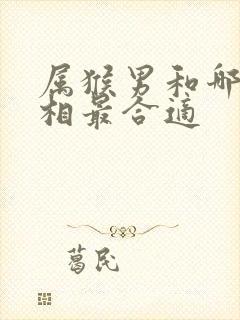 属猴男和哪个属相最合适