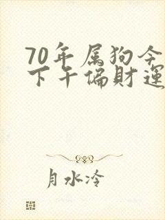 70年属狗今天下午偏财运