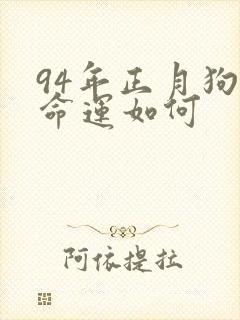 94年正月狗的命运如何