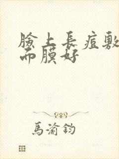 脸上长痘敷什么面膜好