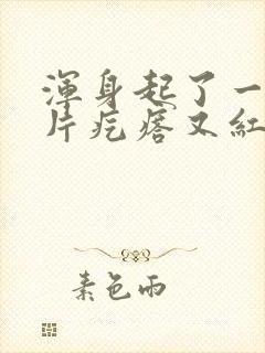 浑身起了一片一片疙瘩又红又痒封面