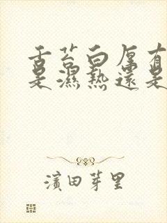 舌苔白厚有齿痕是湿热还是寒湿