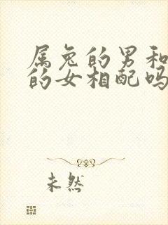 属兔的男和属龙的女相配吗